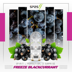 SP2S II Pro Pod Freeze Blackcurrant vape pod in Malaysia