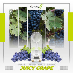 SP2S II Pro Pod Juicy Grape vape pod in Malaysia